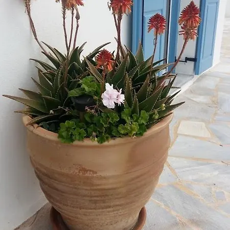Areti Villa